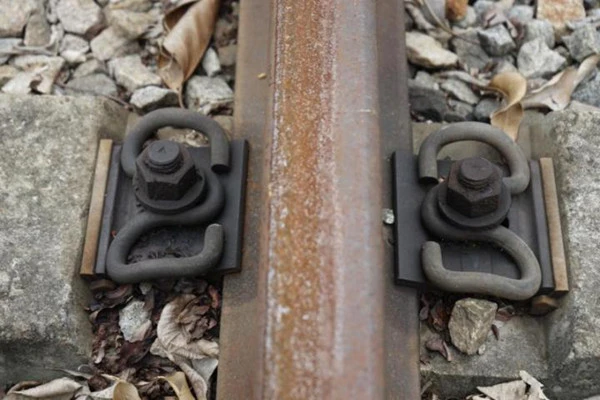 track elastic fastener
