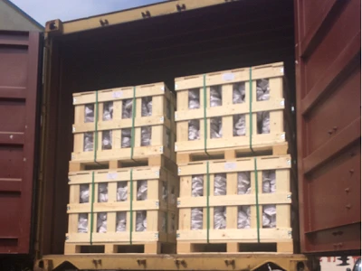 SKL Clip Exported To Argentina